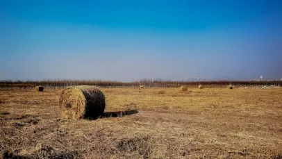 Cazino Lucky Pants Bingo Cazinou Aplicație mobilă